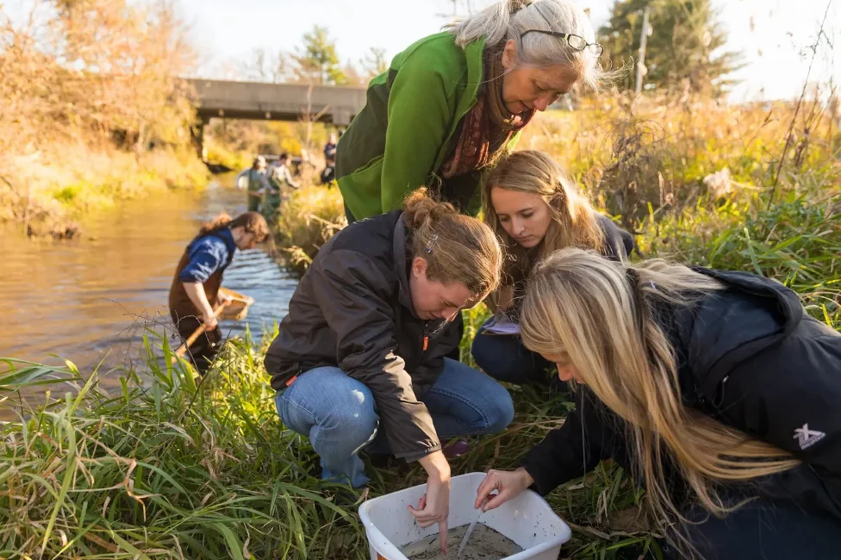 Four people examine a container of sediment by a stream, exploring biology concepts, while another collects water samples in the background on a sunny day.