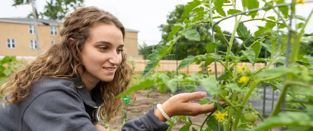 A person with long curly hair examines green plants with yellow flowers in a garden, reflecting an interest in environmental science. A building and trees are visible in the background.