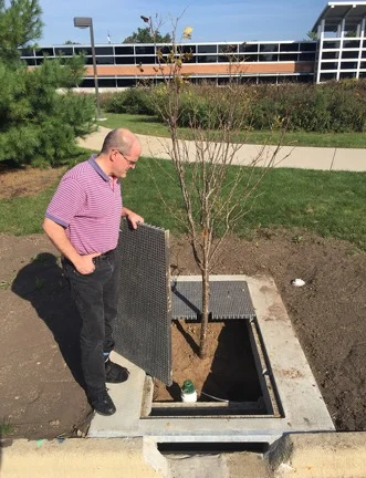 A man in a striped shirt stands by a young tree planted in a sunken concrete pit with an open grate, part of a StormTree system designed for effective stormwater treatment.