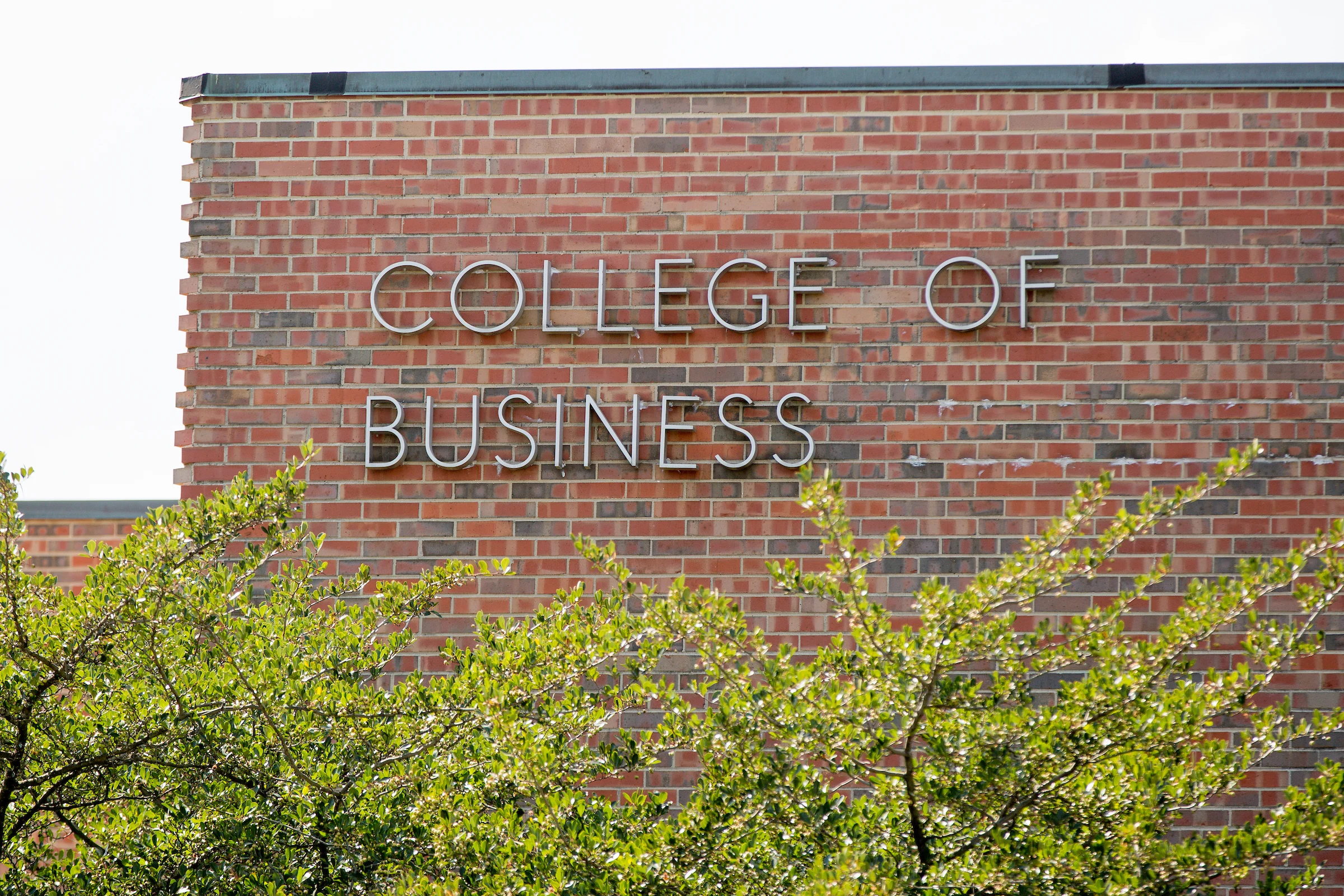 Image for news story: Three Valparaiso University Students Win Microsoft Office State Championships