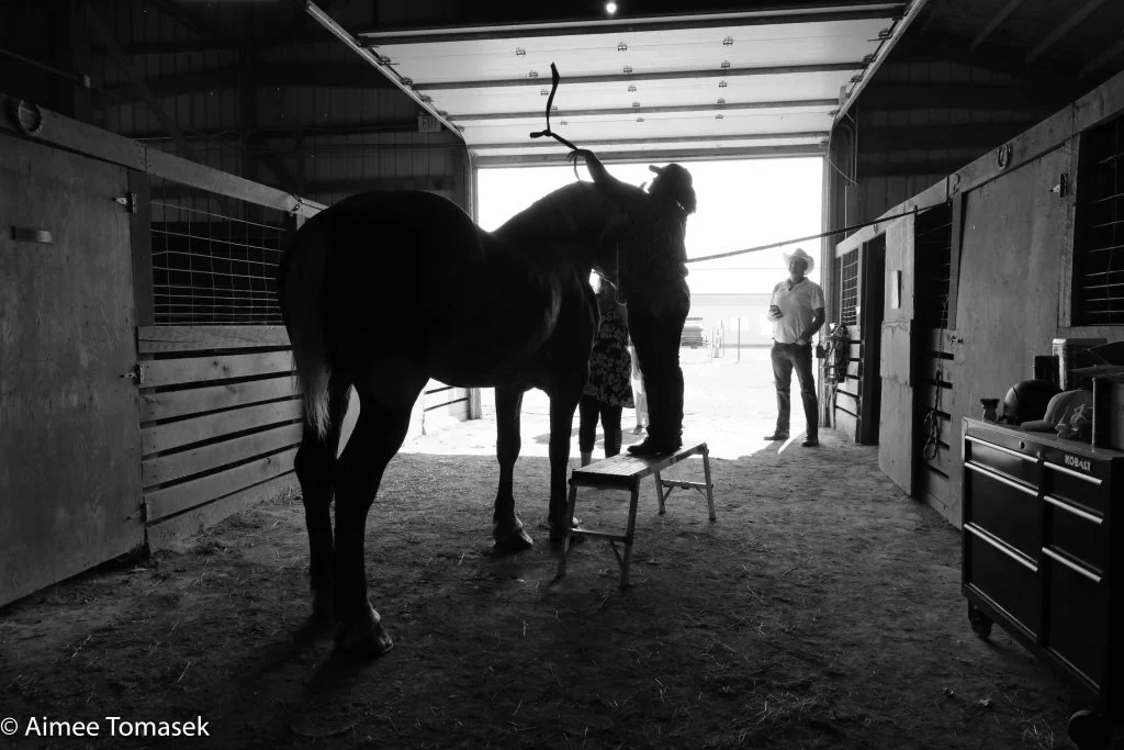 A person stands on a stool to clip a horse’s mane in a barn, as future photographers from the local community observe and capture the moment in the background.