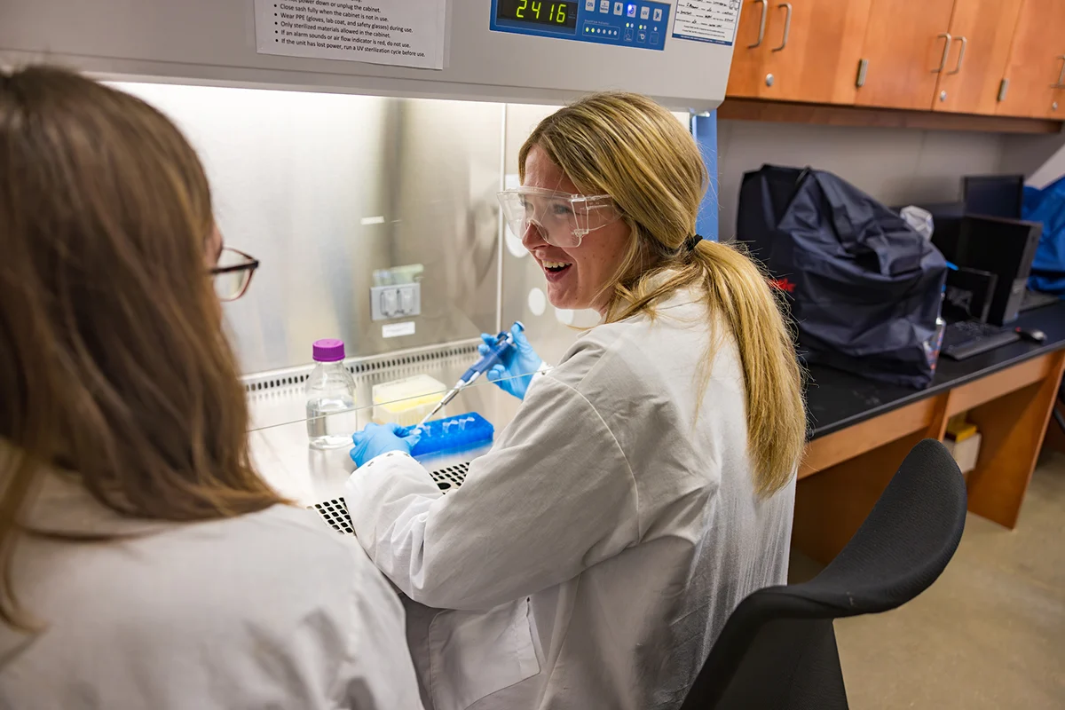 Two scientists in lab coats and goggles work with a pipette at a laboratory workstation, demonstrating a Program Example in action.