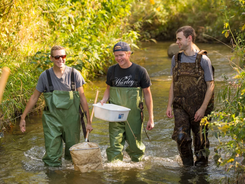Three people wearing waders walk through a shallow stream as part of an Environmental Science activity; one carries a net and another holds a plastic tub.