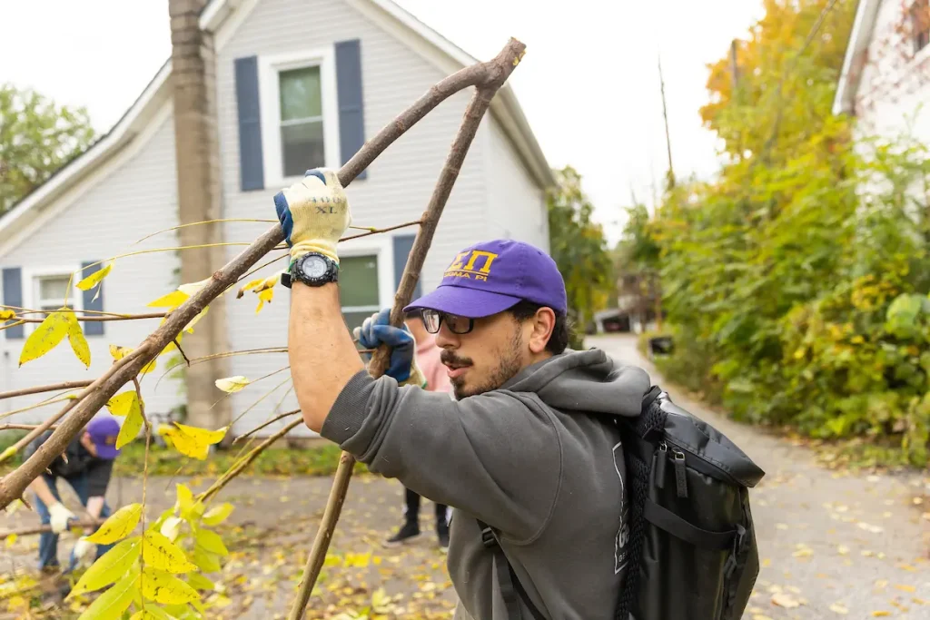 A man in a gray hoodie and purple hat carries a large tree branch near a house on a cloudy day in the quiet vale.