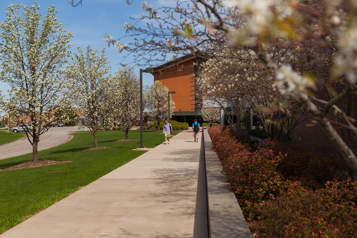 Sidewalk lined with blooming trees and bushes, with people walking near a red brick building on a sunny day, perfect for an outdoor assessment or casual stroll.