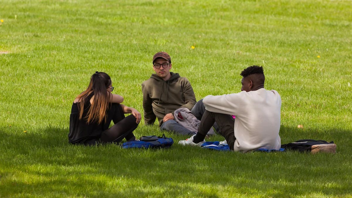 Three people sit on the grass in a park, talking and relaxing together on a sunny day, perhaps taking a break after an assessment.
