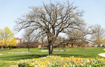 Image for news story: A Sustainable Campus Behind the Scenes