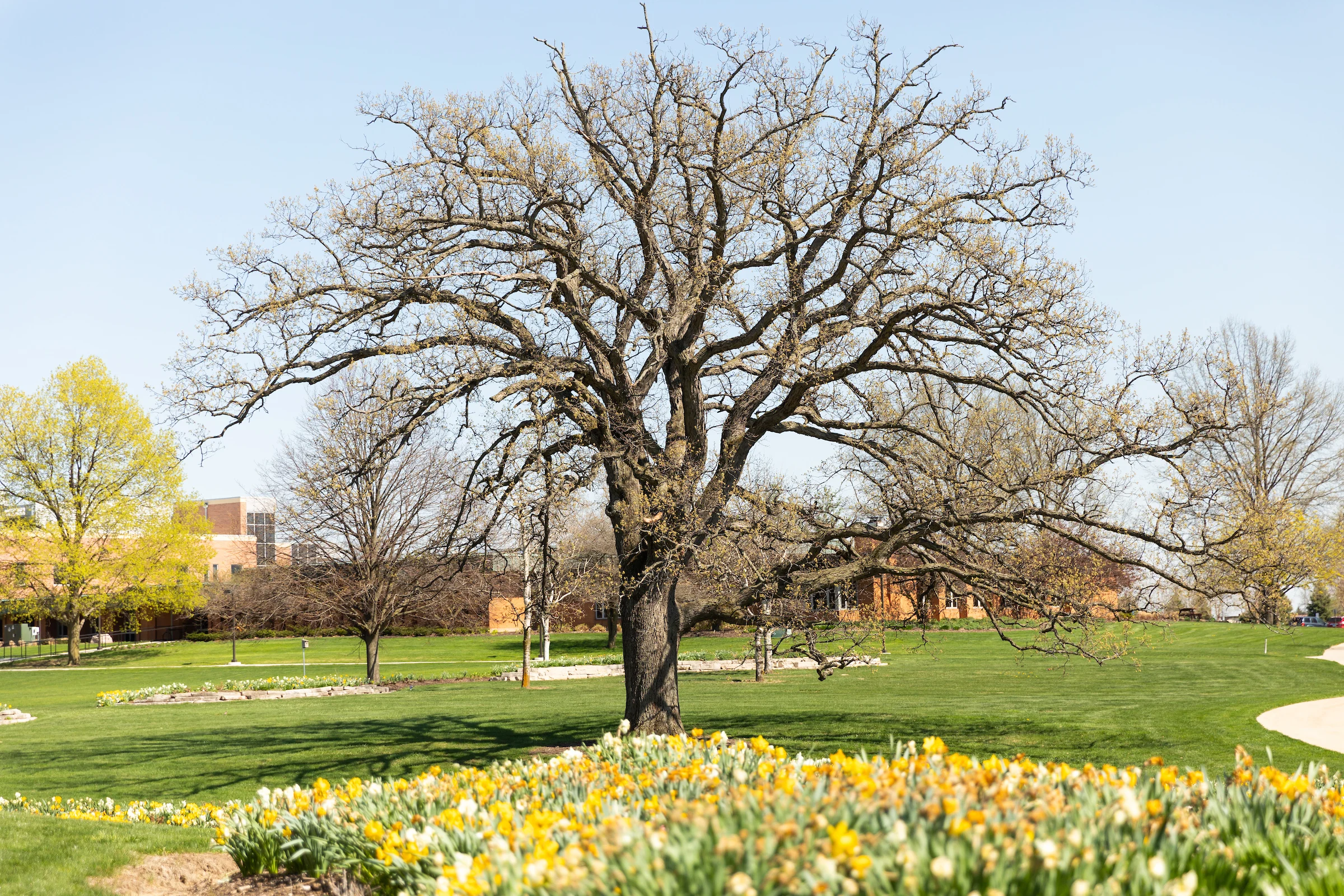 Image for news story: A Sustainable Campus Behind the Scenes