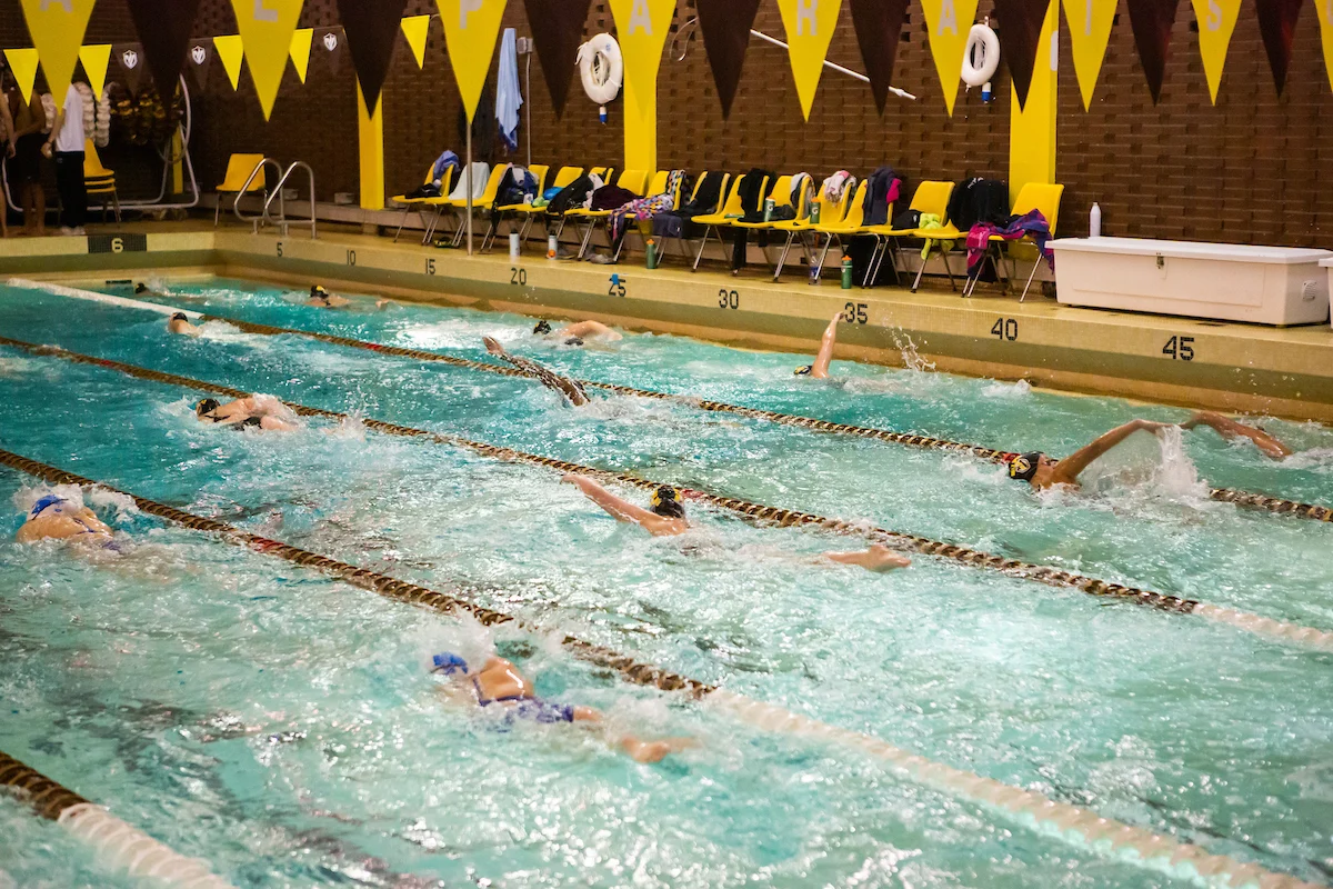 Swimmers practicing laps in an indoor campus pool with yellow banners and benches alongside the pool.