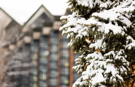 Image for news story: CONVERSATIONS TO HAVE ABOUT YOUR COLLEGE SEARCH OVER THE HOLIDAYS
