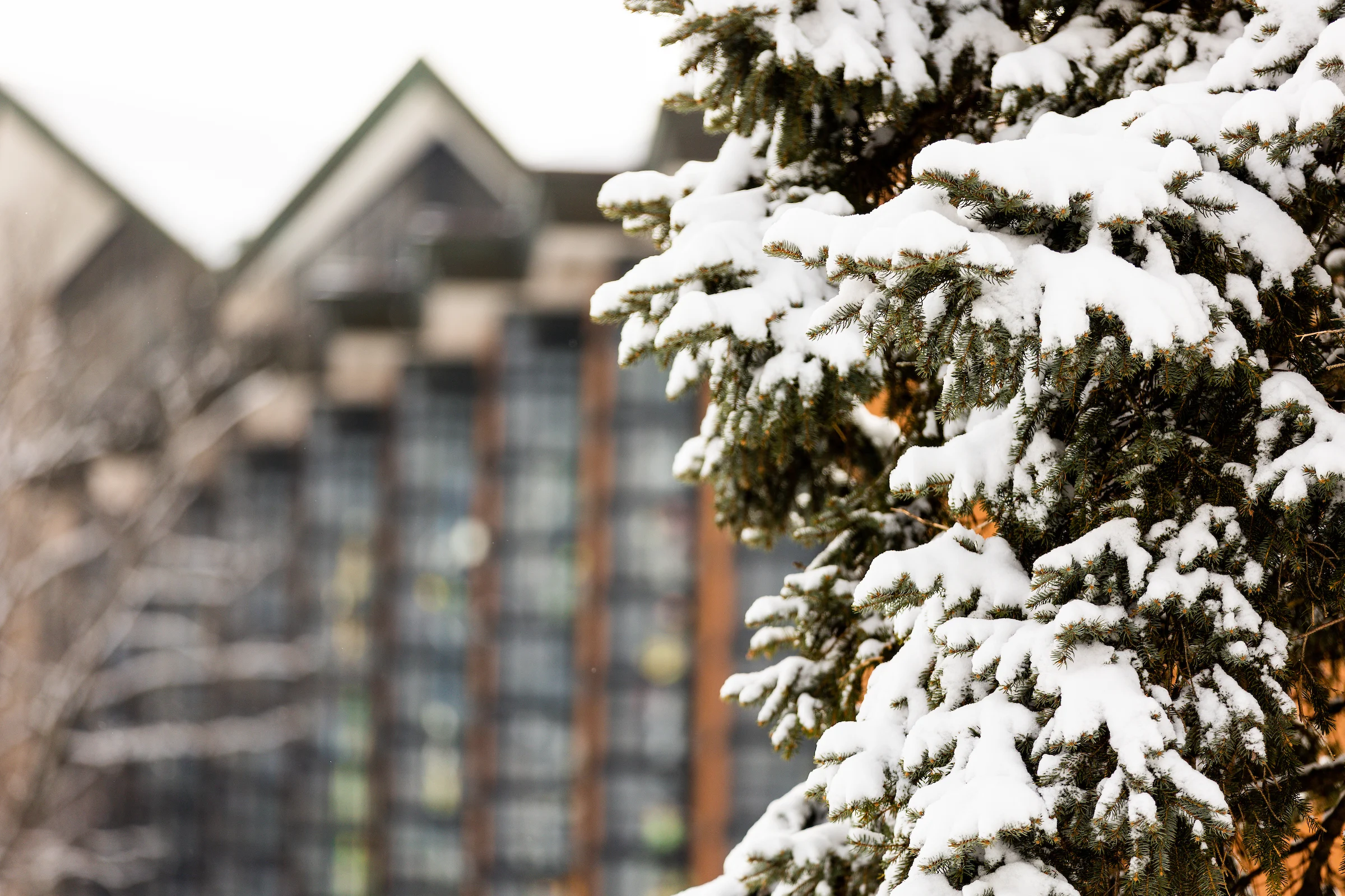 Image for news story: CONVERSATIONS TO HAVE ABOUT YOUR COLLEGE SEARCH OVER THE HOLIDAYS