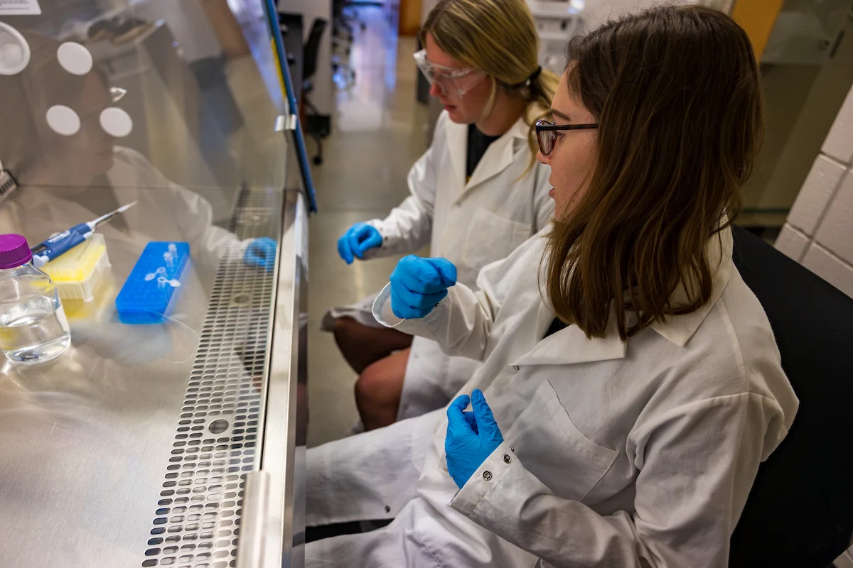 Two scientists in white lab coats and blue gloves work at a laboratory station with equipment and samples, demonstrating the importance of Campus Health and Safety protocols.