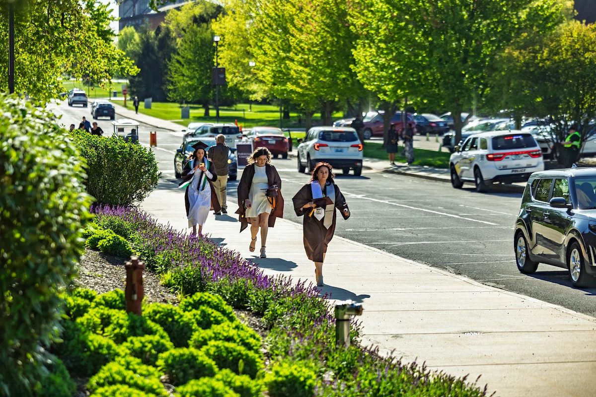 Four women walk on a sunny sidewalk beside green bushes, with cars parked along the street, perhaps discussing important Information for Graduates as they enjoy their stroll.