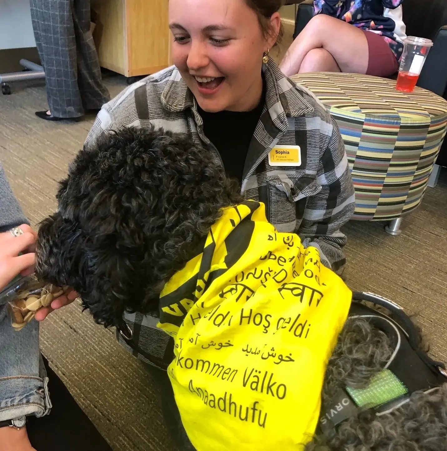 Smiling woman with a name tag pets a curly-haired dog wearing a bright yellow welcome bandana, surrounded by friendly people.