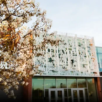 Ornamental white building facade with blooming tree in foreground on a sunny day.