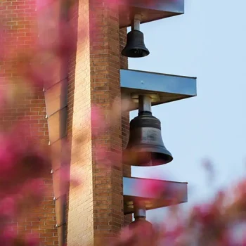Two large bells on a brick tower, partially obscured by pink flowers in the foreground.