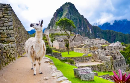 Image for news story: STUDY ABROAD: PERU