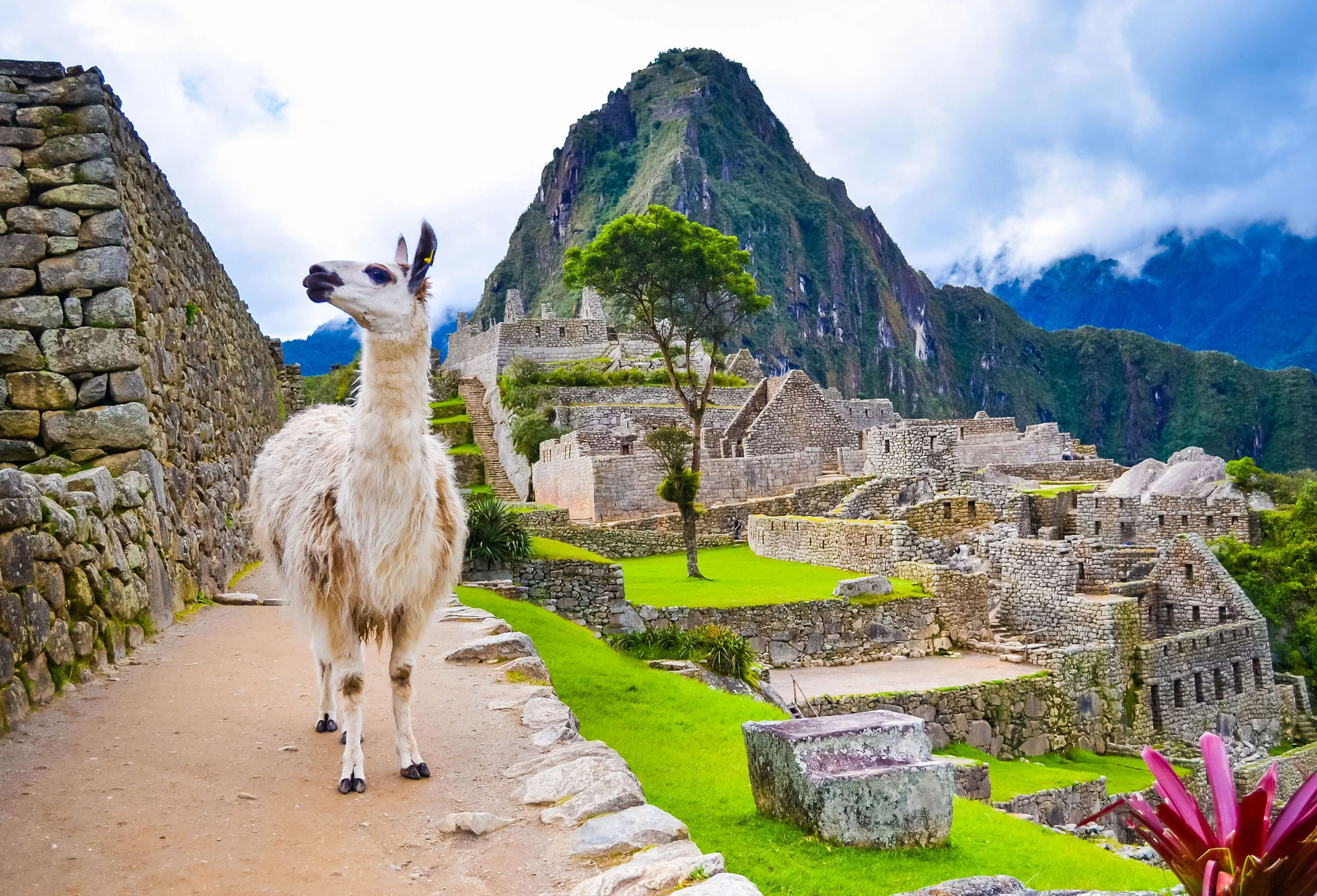 Image for news story: STUDY ABROAD: PERU