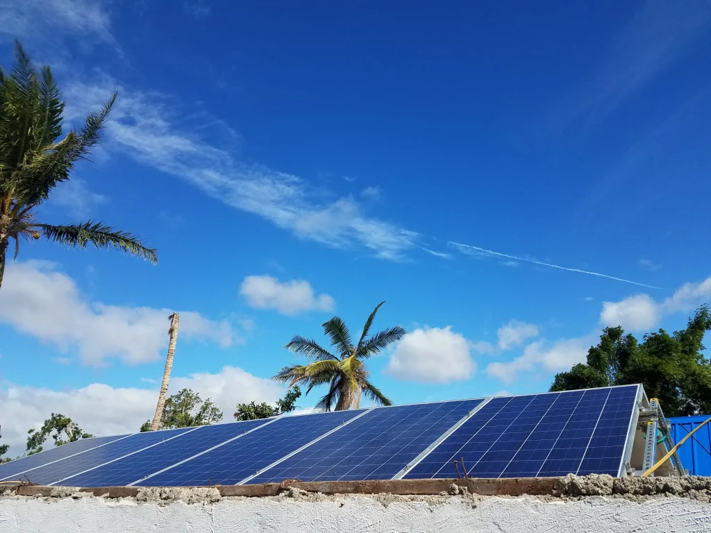 Solar panels on a rooftop gleam under a bright blue sky, with palm trees swaying gently and capturing the energy of the sun and waves in the serene background.