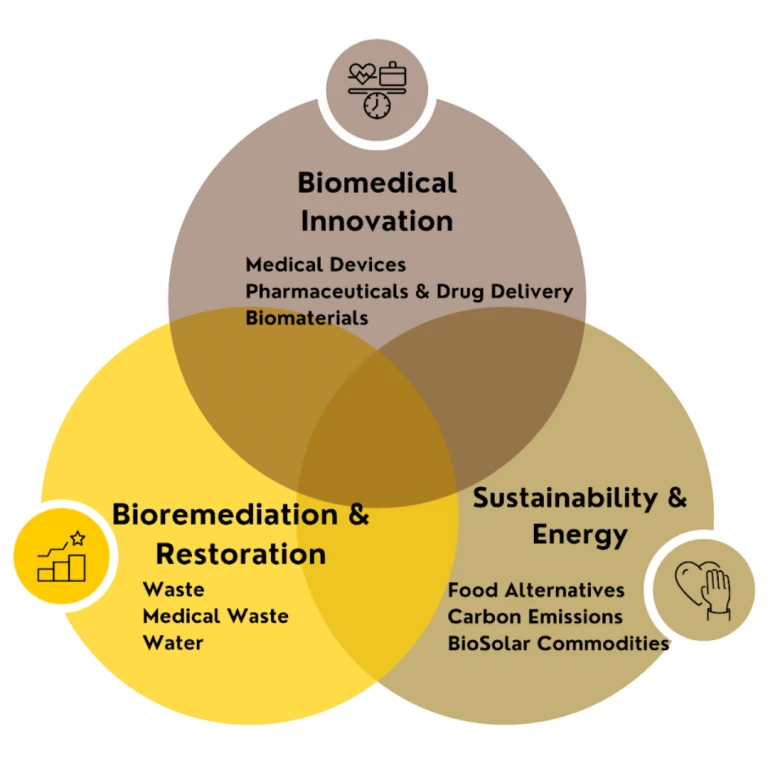 Three overlapping circles show links between biomedical innovation, sustainability, and bioremediation fields, highlighting the collaborative spirit of BioME Sector Alliance.