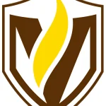 A brown and yellow flame-shaped logo inside a brown shield outline on a white background, representing Rachel Fischer, DNP, FNP-BC.