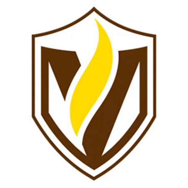 A brown shield with a yellow flame in the center and a stylized letter "V" in the background, inspired by Richard Klee's Ph.D. research.